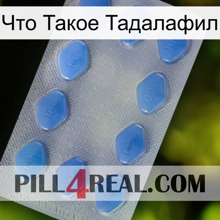 Что Такое Тадалафил 21